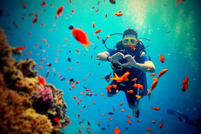submarinismo y exploracion marina