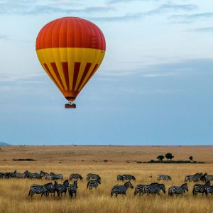sutirta budiman kjobqwmunww unsplash