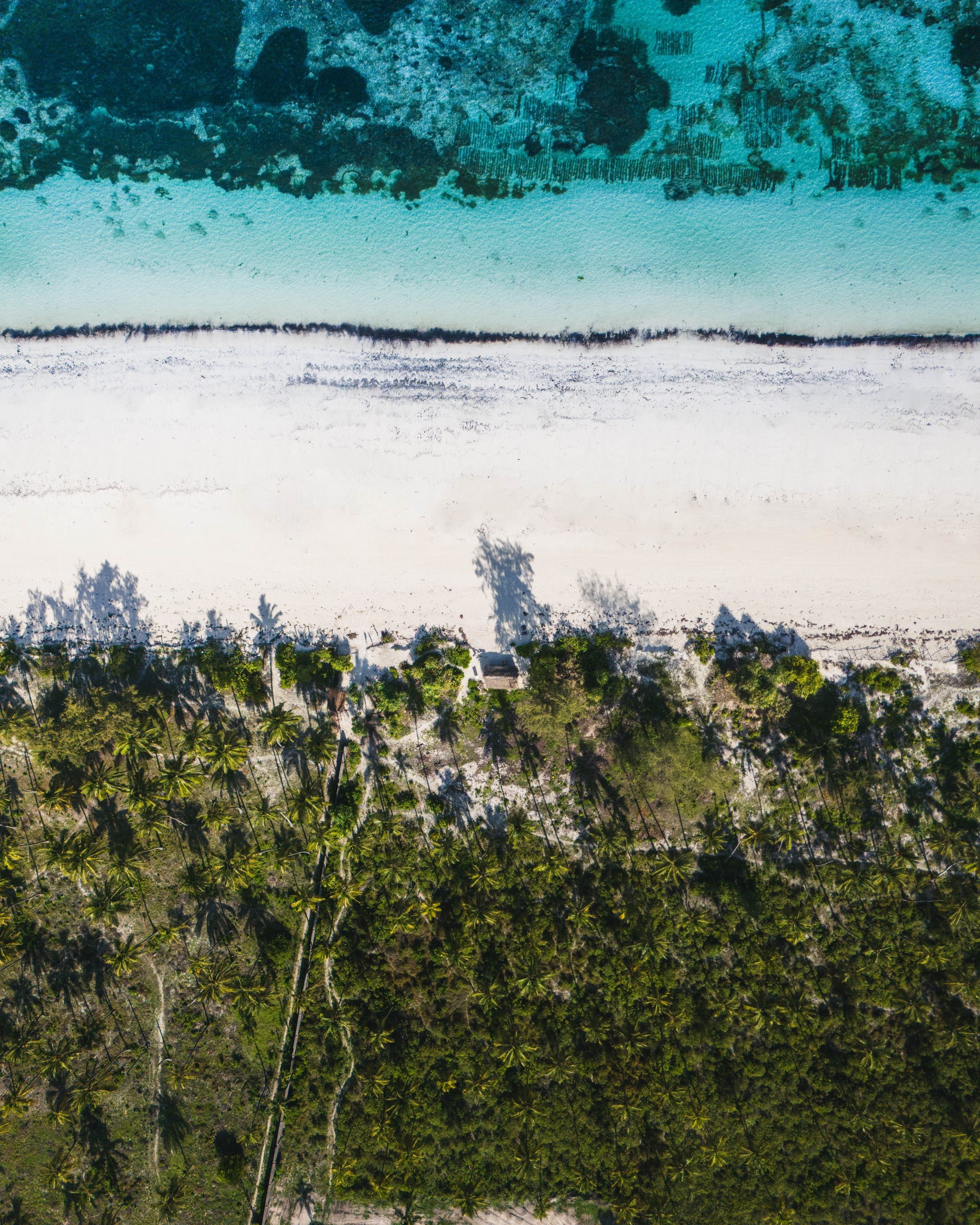 zanzibar