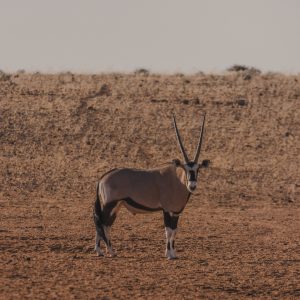 Namibia