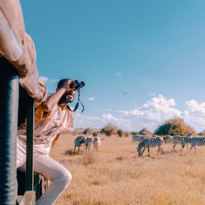 safari botswana