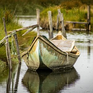A rustic wooden boat moored in tranquil canal waters, surrounded by greenery in Aveiro, Portugal.
