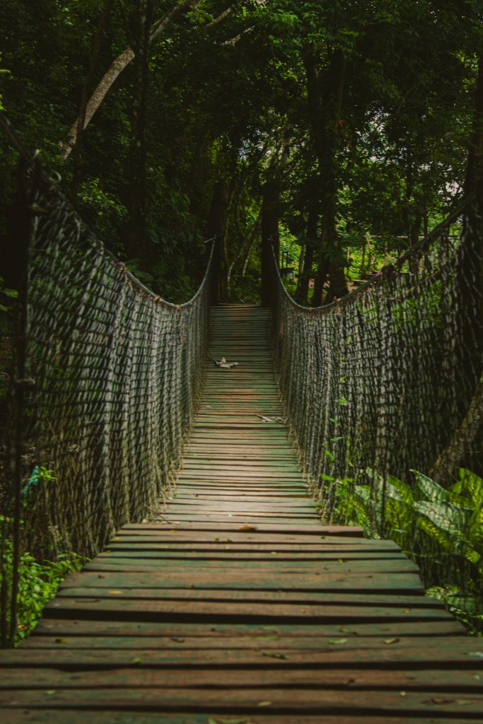 Discover the adventurous charm of a wooden suspension bridge in a lush tropical Nicaraguan forest.