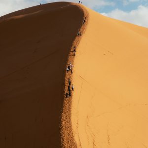 desert