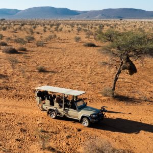 namibia safari