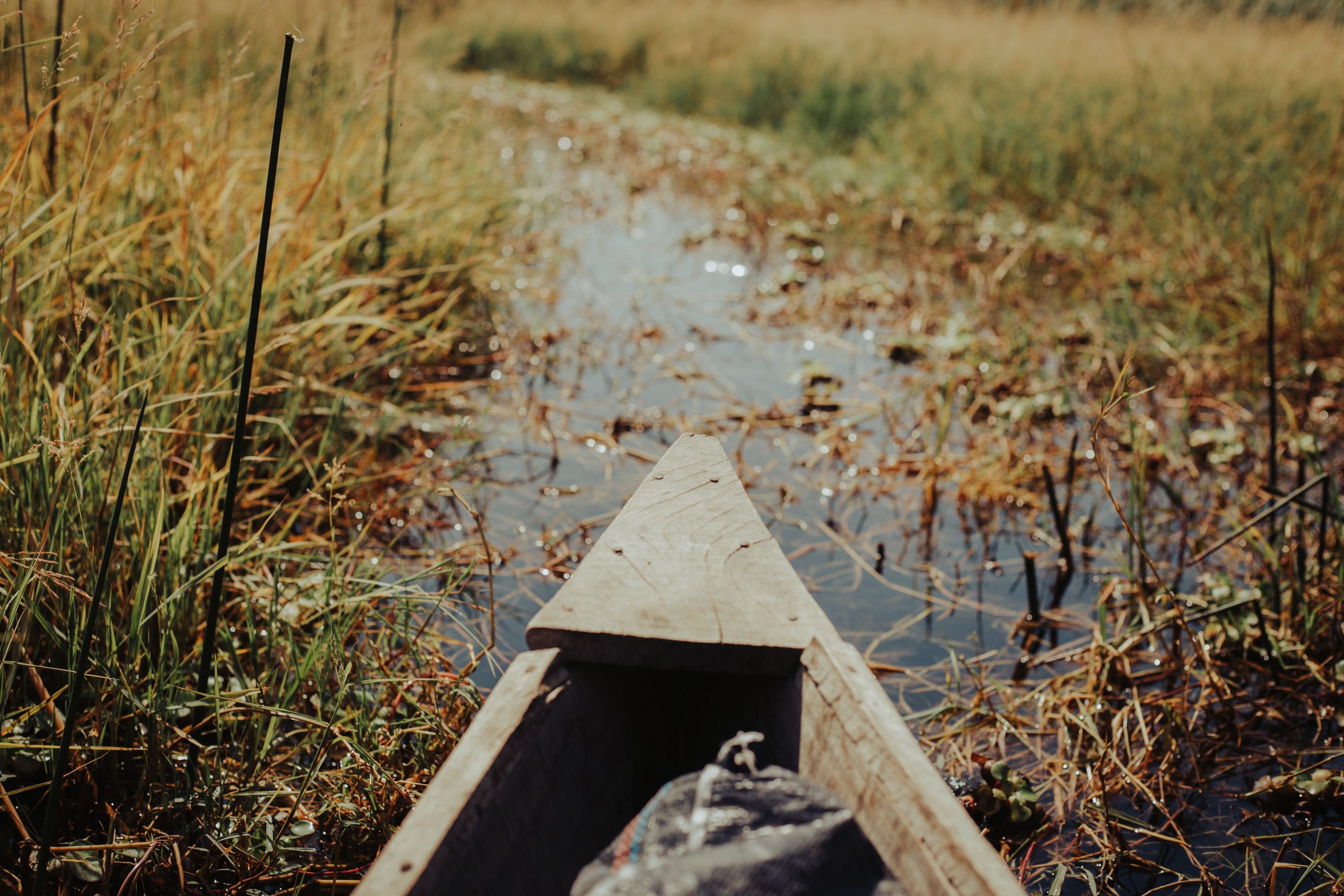 Wooden canoe journeying through a serene marshland with tall grasses.