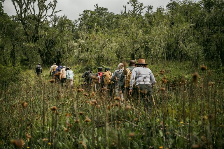 A diverse group of hikers trekking along a lush, green forest trail, showcasing adventure and exploration.