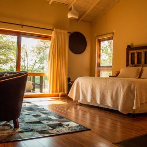 lodge safari
